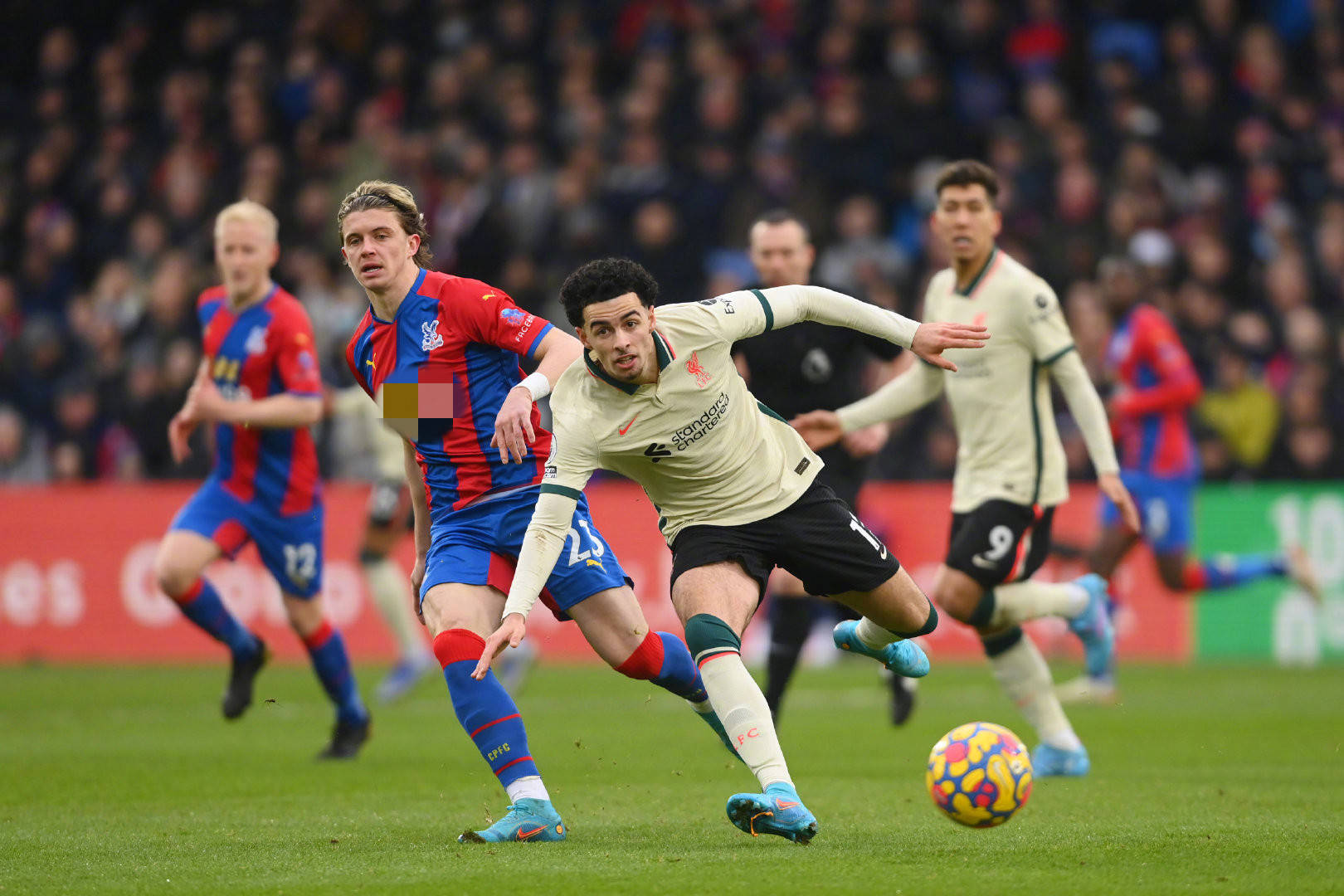 能够提前预 能够提前预